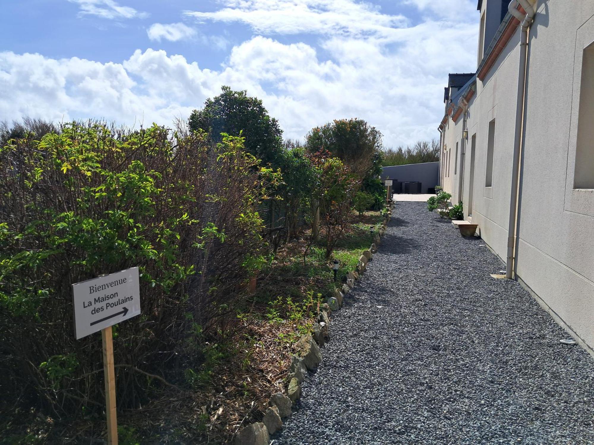 La Maison Des Poulains 索宗 外观 照片